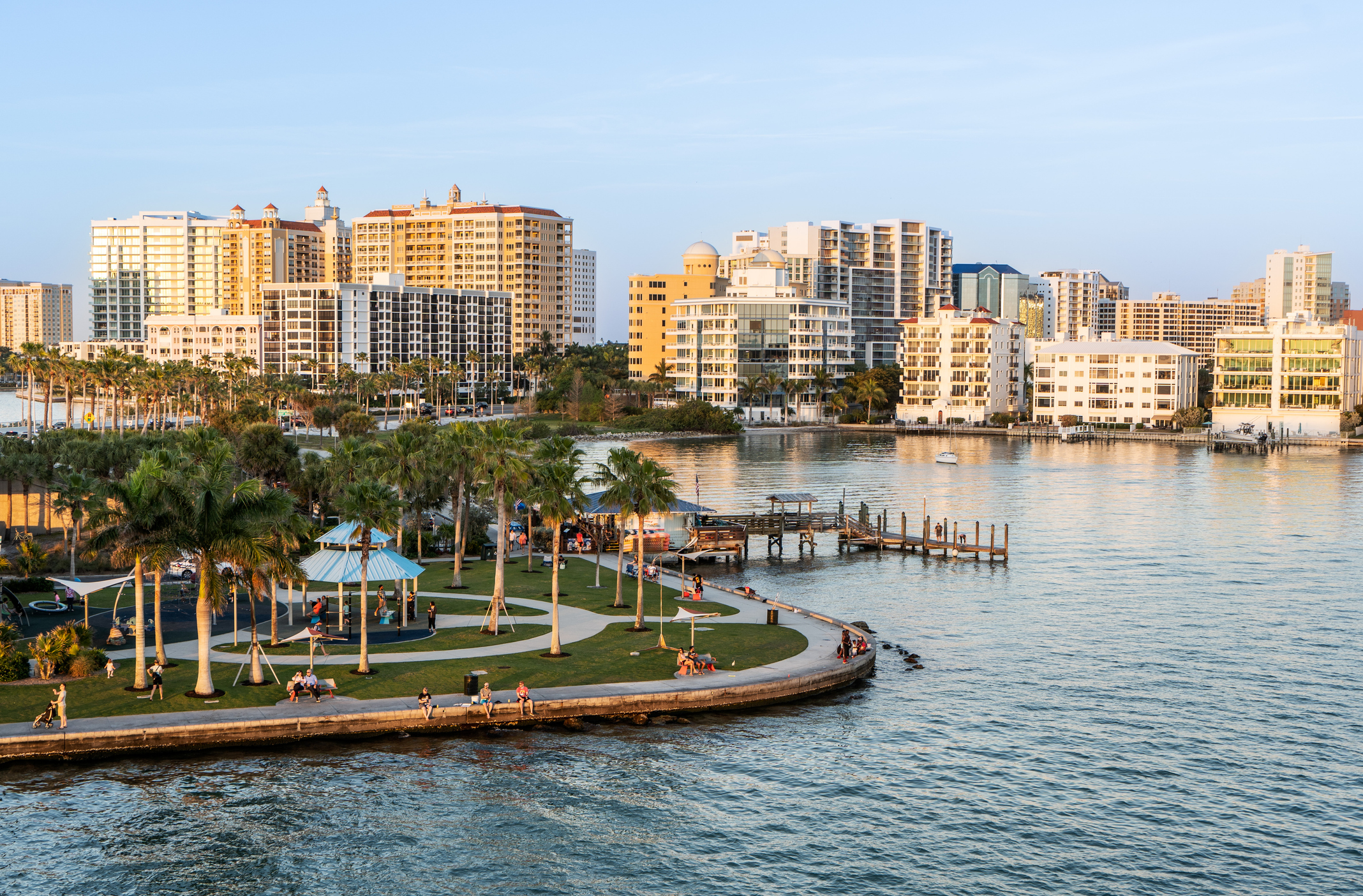 Sarasota waterfront park with palm trees and city skyline